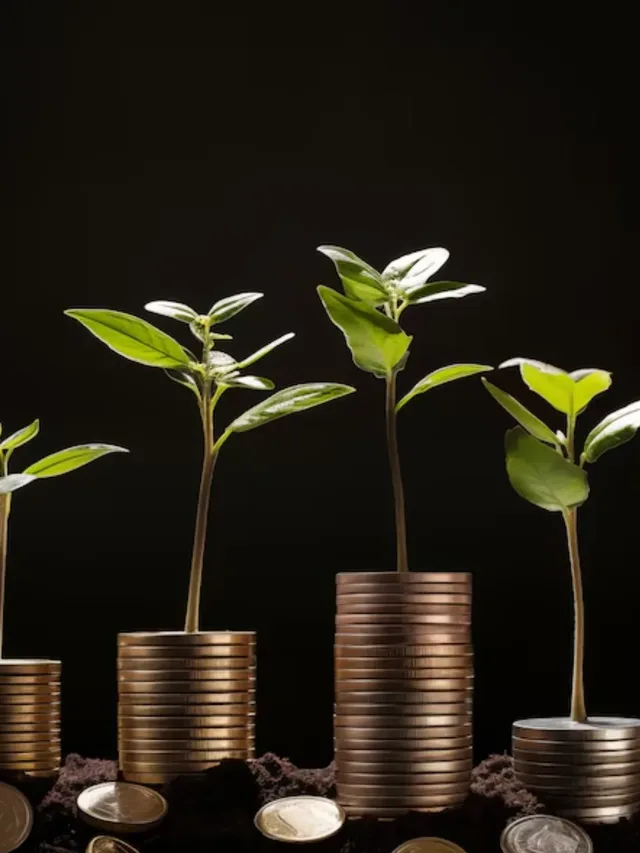 Top 5 Profitable Crops with Low Investment (2025)