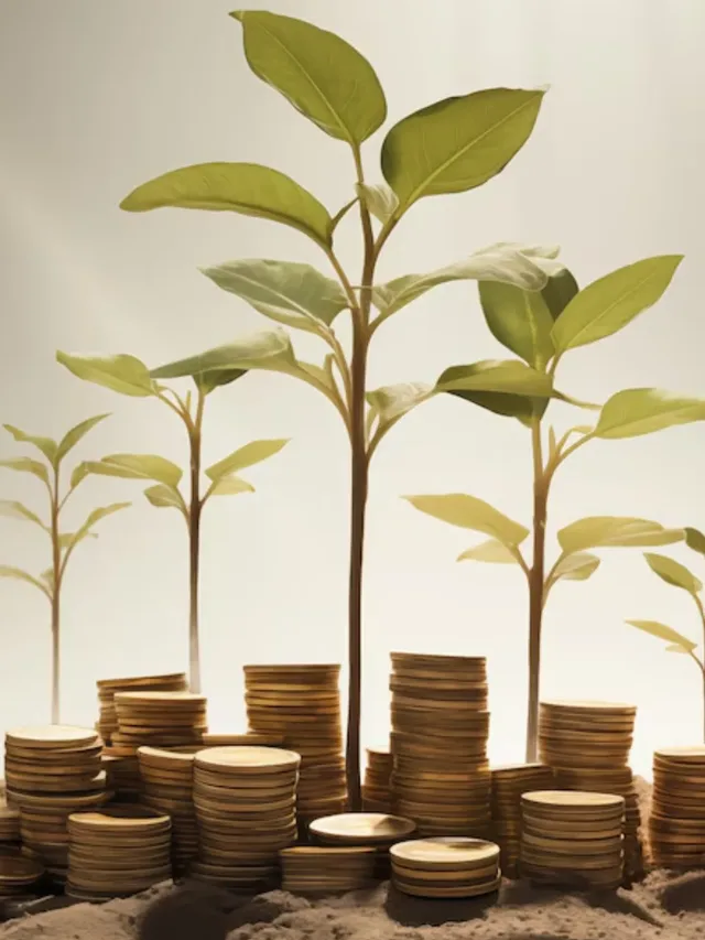 Top Startup Fundings in India This Week