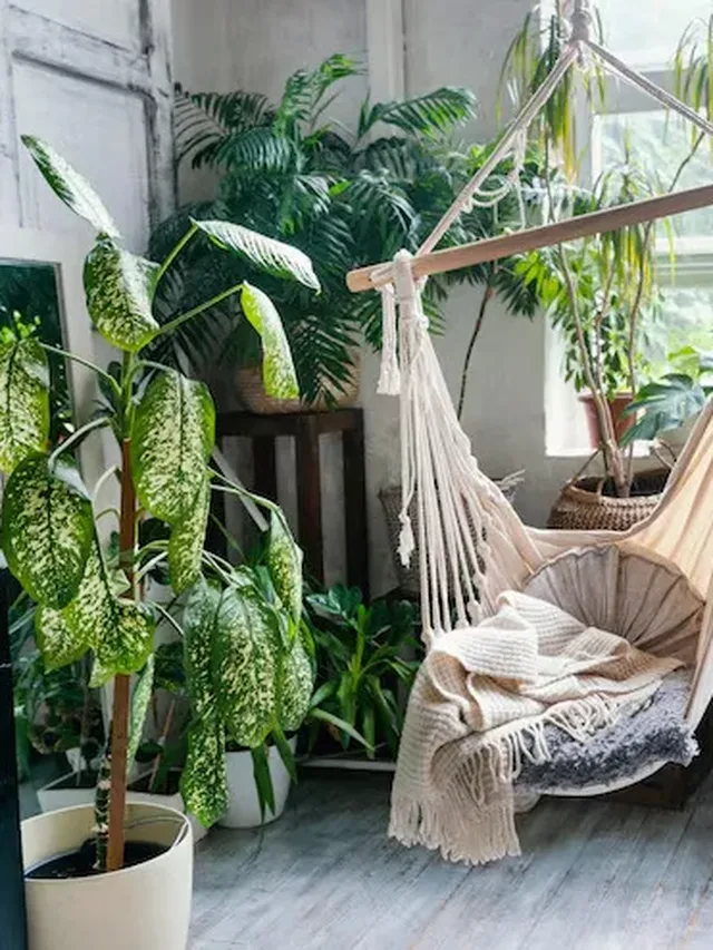 Start These 5 Agri Businesses From Home – No Land Needed!